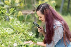 Young beautiful woman examining green leaf through a magnifying glass in the garden. Concept of self learning in springtime. photo