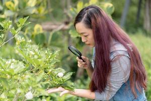 Beautiful woman examining green leaf through a magnifying glass in the garden. Concept of self learning in springtime. photo