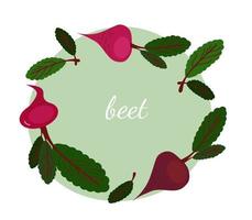 Flat illustration of beetroot vector isolated on white background