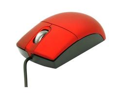 mouse computer isolated on white background photo