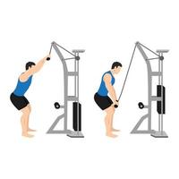Man doing Rope pulldown exercise. Flat vector illustration isolated on white background