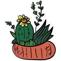 Cactus flower green vector