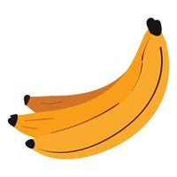 Bunch of bananas vector