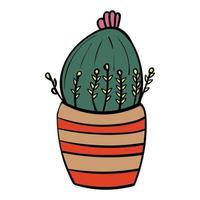 Cactus in a pot with stripes vector