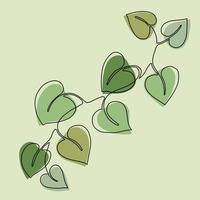 Simplicity ivy continuous freehand drawing. vector