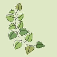 Simplicity ivy continuous freehand drawing. vector