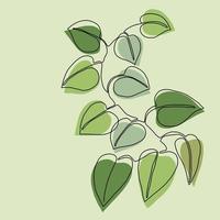 Simplicity ivy continuous freehand drawing. vector