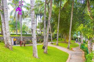 Luang Prabang Luang Prabang Laos 2018 Park panorama of the landscape Mekong river Luang Prabang Laos. photo