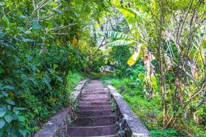 panorama de las escaleras de la selva del paisaje y luang prabang laos. foto