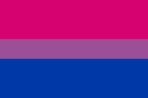 Bisexual Pride flag vector