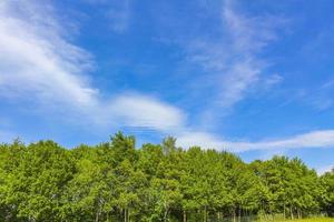 Blue sky with chemical clouds chemtrails on sunny day Germany. photo