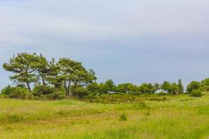 Cloudy sky with beautiful natural forest landscape panorama Germany. photo