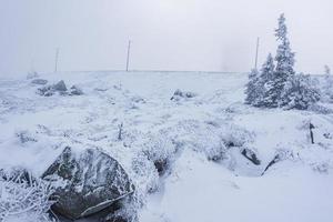 nevado en el paisaje de abetos helados brocken mountain harz alemania foto