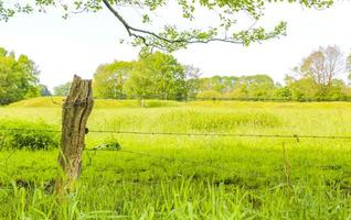 North German agricultural field forest trees nature landscape panorama Germany. photo