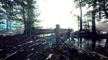 pont en bois suspendu traversant la rivière jusqu'à la forêt mystérieuse brumeuse video