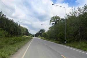 Long straight asphalt road ahead. With trees forest two beside and electric pole. long white line and yellow dotted line on the road. Cross-provincial area. photo