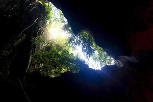 Vista interior de la entrada a la cueva. está cubierto de árboles y hojas verdes. y vi la luz del cielo brillar foto