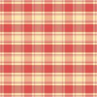 Tartan plaid pattern with texture and warm color. vector