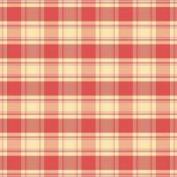 Tartan plaid pattern with texture and warm color. vector