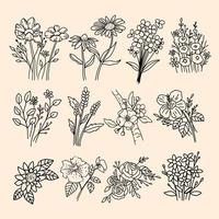 A SET OF HAND DRAWN PLANT vector