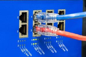 The network cables to connect the port of a switch to connect internet network, concept Communication technology photo