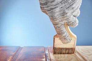 Painting wooden floor with protective varnish on a blue background. Hand in gray work glove painting wood surface. photo