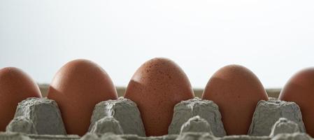 Eggs in a protective container on white background. photo