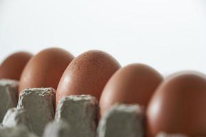 Eggs close up in egg protective container on white background. Foreground and background in blur. Focus in the center. photo