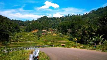 This photo, taken on October 25, 2020, shows a view of rice fields belonging to residents in Cipongkor, West Java Province. Indonesian photo