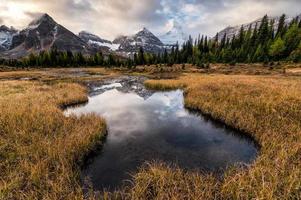 reflejo del monte assiniboine en el estanque en el prado dorado en el parque provincial foto