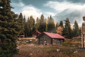 Wooden huts with sunshine in autumn forest on morning at Assiniboine provincial park photo