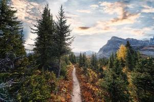 bosque de pinos de otoño en montañas rocosas en el parque nacional foto