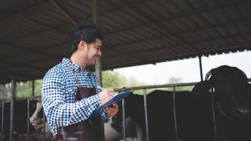 male farmer checking on his livestock and quality of milk in the dairy farm .Agriculture industry, farming and animal husbandry concept ,Cow on dairy farm eating hay,Cowshed. photo