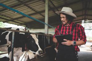 male farmer using tablet for checking on his livestock and quality of milk in the dairy farm .Agriculture industry, farming and animal husbandry concept ,Cow on dairy farm eating hay,Cowshed. photo