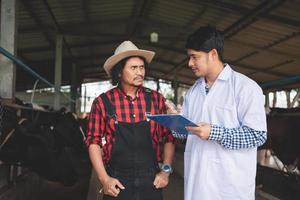 Veterinarian checking on his livestock and quality of milk in the dairy farm .Agriculture industry, farming and animal husbandry concept ,Cow on dairy farm eating hay,Cowshed. photo