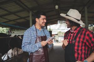 Male workers pay money and shake hands with farmers on the dairy farm.Agriculture industry, farming and animal husbandry concept ,Cow on dairy farm eating hay. Cowshed ,small business photo