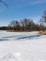 Spring in Pavlovsky Park white snow and cold trees photo