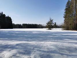 primavera en el parque pavlovsky nieve blanca y árboles fríos foto