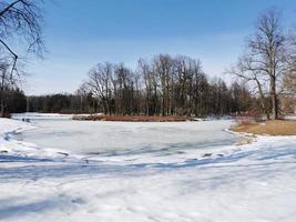 primavera en el parque pavlovsky nieve blanca y árboles fríos foto