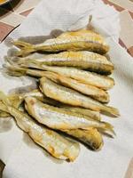 fried smelt delicious food from St. Petersburg photo