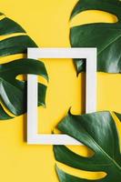 Tropical green leaves with picture frame on color background with copy space, Top view photo