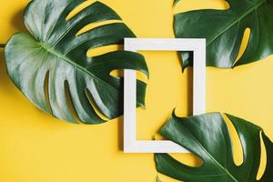 Tropical green leaves with picture frame on color background with copy space, Top view photo