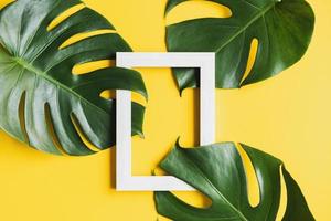 Tropical green leaves with picture frame on color background with copy space, Top view photo