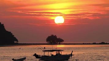 solnedgång landskap på phuket video