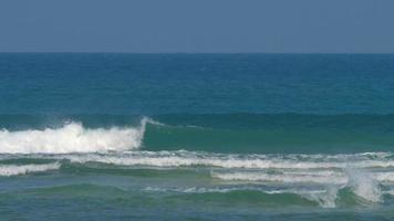 vagues sur la barrière de corail video