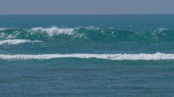 olas en el arrecife de coral video