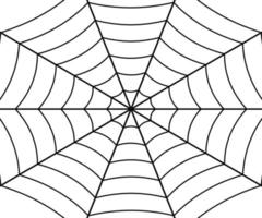 Spider web illustration vector