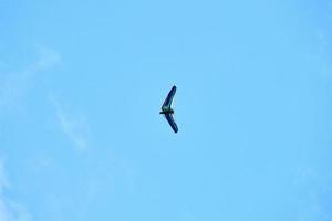 Powered hang glider flying in blue sky, motorized hang glider overhead view, copy space photo