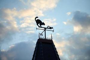 Weather vane on house roof in shape of cat catching mouse, cardinal directions, blue sky background photo