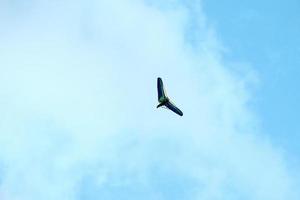 Powered hang glider flying in blue sky, motorized hang glider overhead view, copy space photo